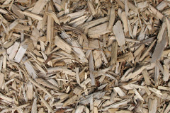 biomass boilers Come To Good