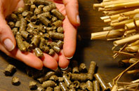 free Come To Good biomass boiler quotes